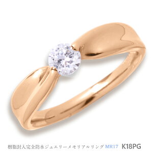 yMR17/sNS[hzK18PG or K10PG 0.3ct _Ch@AOMR17 `⍜O@Sh̎wց`