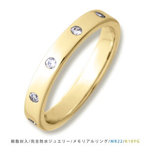 sMR22tS[h_Ch@K10 or K18 AOMR22 nFCG[S[h ⍜O@Sh̎w