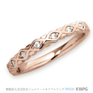 yMR26 / sNS[hzK18PG or K10PG AO@_Ch7΁@⍜O@Sh