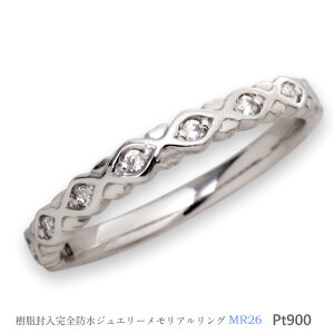 yMR26 / zCgS[horv`izPt900 or K10WG AO _Ch7΁@⍜O@Sh