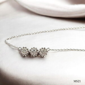 yMS21/Pt900z ̊ShAWG[@⍜y_gMS21 v`i×3΂̕