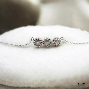 yMS21/K10WGz ̊ShAWG[@⍜y_gMS21 10zCgS[h×3΂̕