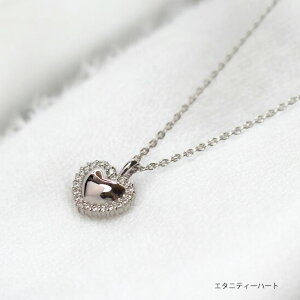 \EWG[yG^jeBn[gzPT900 v`i×_Ch22@40cm`F[t