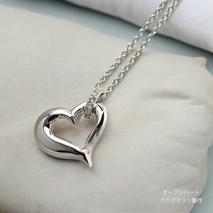 ⍜y_g \EWG[EI[vn[giSILVER×_Ch×WRjAjaΐ\i