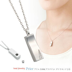 \EWG[i⍜y_gjvGiFj Pt900(v`i)/_Ch2 40cm`F[