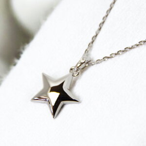 \EWG[@ X^[ESILVER925 Vo[ a΂Őo܂ 50cm̃XChtO`F[t