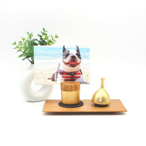 茳{3_ZbgySotto Pictuary cylinder×GR[×˕~9×18i݁jz Iׂ鍜   gїp ybg pyKiz茳{ tHgt[ lW^Cv  