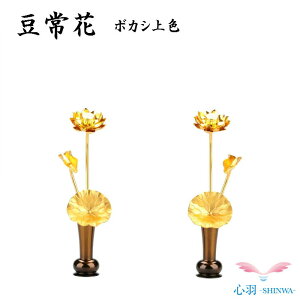 yr[Ly[{zԂ̑Ɂ@~jقƈꏏɁ@̉Ɂ@   S5F{JVF hF F sNS[h lF ~jTCY 茳{ d 