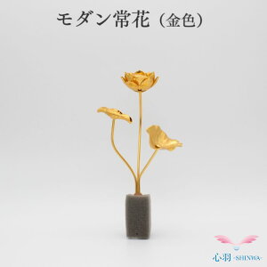 y_ F Fz Xy[X  킢  ~j  V@ ^@ y@ T@ @@ ~j 茳{   dZbg ~jd  