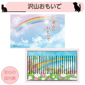 _lR^ Mtg p O̊ӂ߂āyR̂ŁzV ۊނ炽    ̏Ȃ 낤 h ~jTCY d 茳{ 