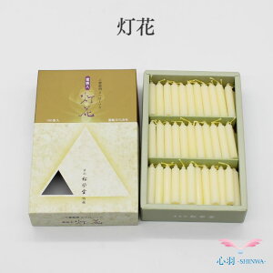 낤 ԖX (100{jh 낤  Lh ?C O낤 ? ~jd  RpNg 茳{ 茳{ d ؕd Ƌd ud L 