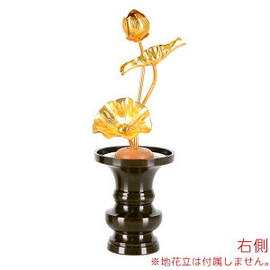  Y ԁyA~  3{ 3 F Pi PiiEǂ炩1{)z{    傤 ͂Ȃ@ @̉  _ `   ؂₩ т₩