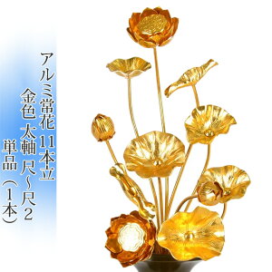  Y ԁyA~  11{ ځ`2  F PiiEǂ炩1{)z{    傤 ͂Ȃ@ @̉  _ `  ؂₩