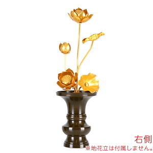  Y ԁyA~ 5{ 8  Pi(Eǂ炩1{)z{    傤 ͂Ȃ@ @̉  d 茳{     ؂₩