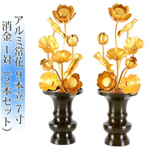  Y ԁyA~ 9{ 4`7  1(2{Zbg)z{    傤 ͂Ȃ@ @̉  d 茳{     ؂₩