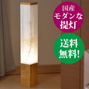 m2025N׃fn _yV肳z55cm XCb`tdR[h a_s ~̂ ~ s s タ傤  aX^h Za