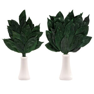 [Iׂ3TCY] TJL yvU[uh 1΁i2{Zbgjz~j ʏ  vU[uh Y _ _Ip _ {̍ t sv   ItBX X