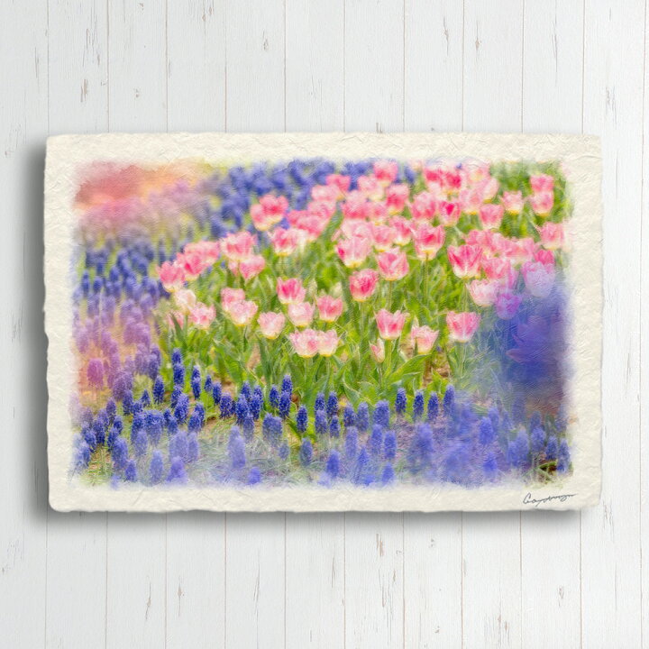 楽天市場】和紙 ポストカード 15x10cm 花 春 「青いムスカリとピンクのチューリップの花畑」 絵画 インテリア 風水 絵 アートパネル モダン  玄関 インテリア 雑貨 絵画 風景画 : インテリアアート NaturalMemories