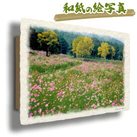 絵 風水 絵画 玄関 おすすめ 運気が上がる絵 インテリア アートパネル 風景画 おしゃれ 開運 金運 トイレ 玄関 に 飾る 絵 画 壁掛け 秋 花 ピンク 花の絵 木 森 和紙の絵写真 「コスモス畑と黄葉の白樺林」