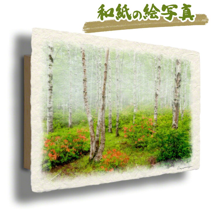 楽天市場】和紙の絵写真 「レンゲツツジと霧の新緑の白樺林」 絵画 
