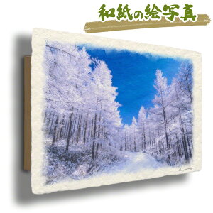 G G    G  CeA A[gpl i  Ǌ| åGʐ^ 30x21cm ~  uƃJ}c̎X̐ᓹv G   J^ ^ ObY ^C