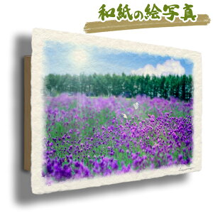  G   J^ ^ CeA ObY ^CオG     G  A[gpl J^G gC  i åGʐ^ 48x33cm A[gpl ux_[
