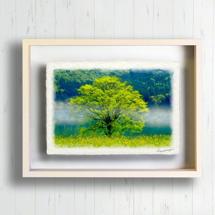 楽天市場】和紙の絵写真 「朝霧の湖畔の菜の花畑と新緑の木」 絵画 