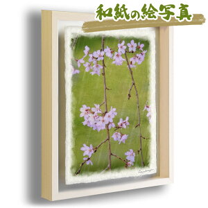 和紙 花 絵画の人気商品 通販 価格比較 価格 Com