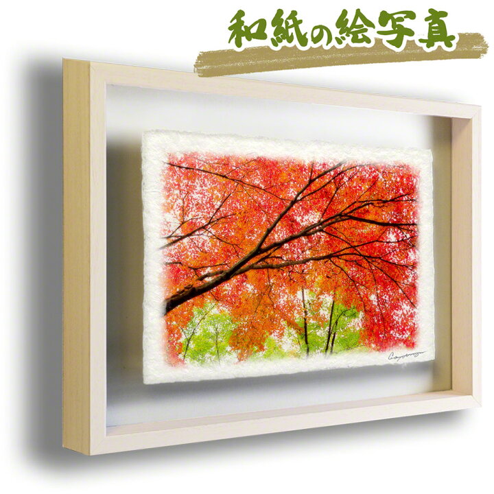 楽天市場】和紙の絵写真 額縁付き 44x31cm 秋 紅葉 木 森 「一面の赤と 