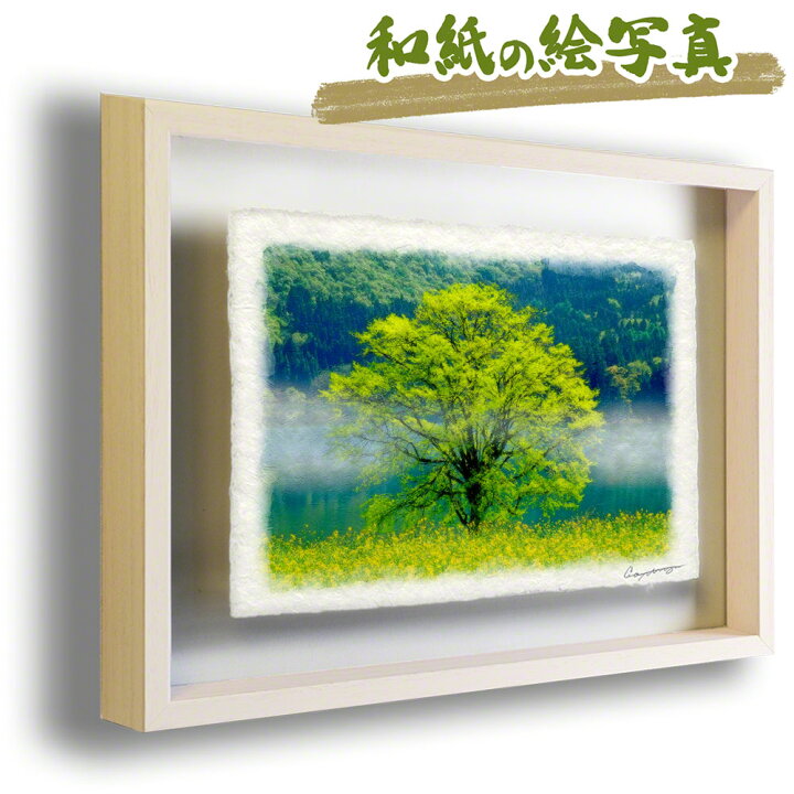 楽天市場 和紙 アート フレーム 38x27cm 初夏 木 グリーン 緑 花 黄色 朝霧の湖畔の菜の花畑と新緑の木 インテリア アート 絵画 インテリア 絵 壁画 風景 おしゃれ 和 アートパネル モダン 玄関 絵 の ポスター 風景 インテリアアートパネル アートパネル 花