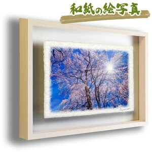  G   J^ ^ CeA ObY ^CオG     G  A[gpl J^G gC  i åGʐ^ zt 31x23cm uzƌグ