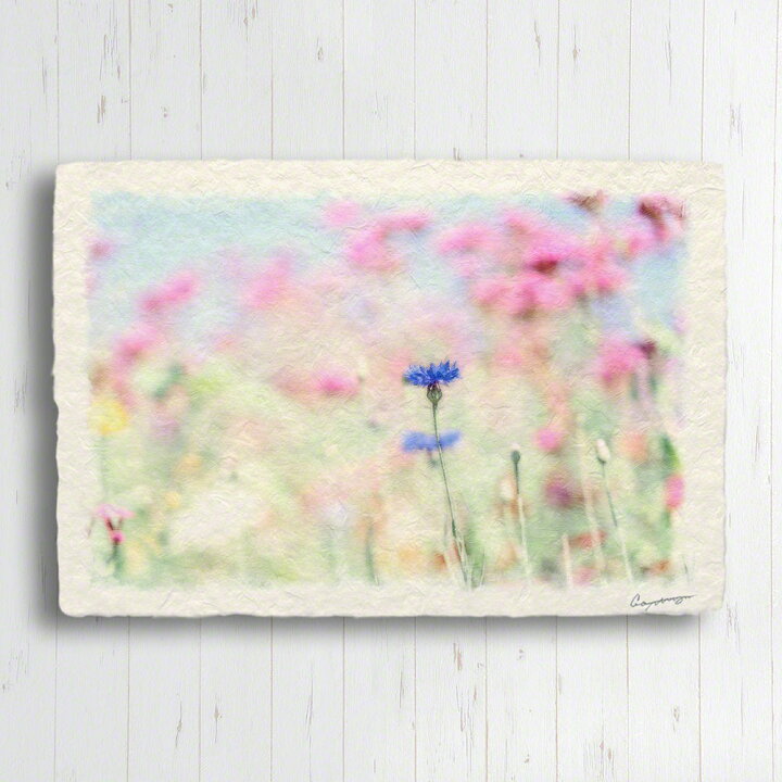 楽天市場 和紙 アートパネル 36x24cm 花 春 春の空とピンクの花畑のヤグルマキク 絵画 花 絵画 インテリア 花の絵 玄関 インテリアアート Naturalmemories 楽天市場 和紙 アートパネル 36x24cm 花 春 春の空とピンクの花畑のヤグルマキク 絵画 花 絵画 インテリア 花の絵 玄関 インテリアアート Naturalmemories
