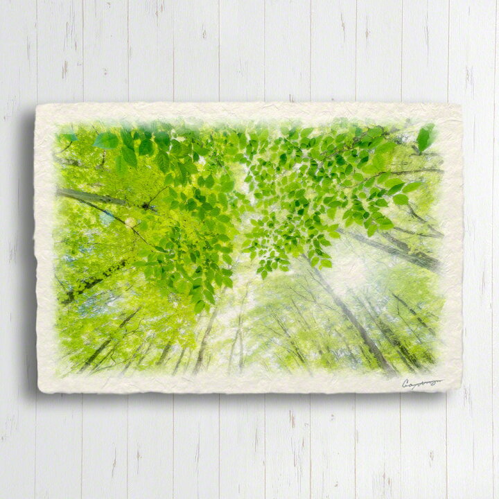 楽天市場】和紙の絵写真 30x21cm アートパネル 木 森 初夏 グリーン 緑 「太陽と新緑」 母の日 そのまま飾れる 絵画 : インテリアアート NaturalMemories