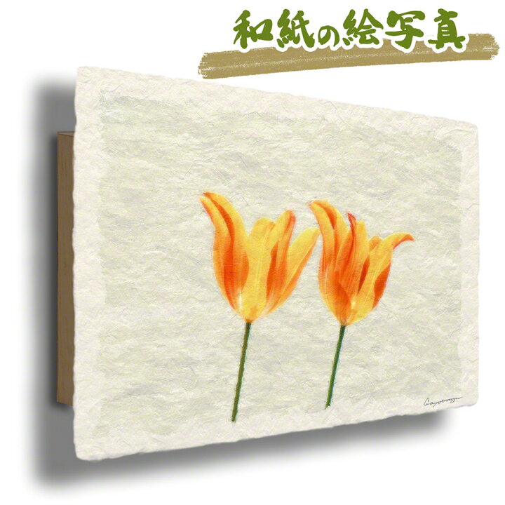 楽天市場 和紙 アートパネル 48x33cm 花 春 黄色 透けるオレンジ色のチューリップ 絵画 絵画 油絵 風景画 絵画 風景画 インテリアアート Naturalmemories 楽天市場 和紙 アートパネル 48x33cm 花 春 黄色 透けるオレンジ色のチューリップ 絵画 絵画 油絵 風景画 絵画 風景画 インテリアアート Naturalmemories
