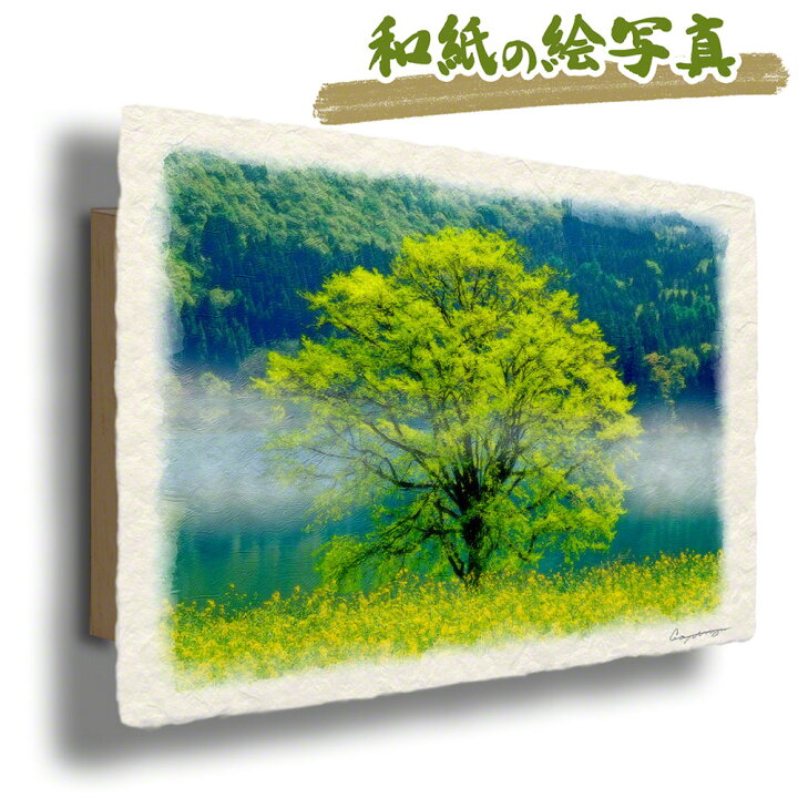 楽天市場 和紙 アートパネル 36x24cm 花 初夏 木 グリーン 緑 黄色 朝霧の湖畔の菜の花畑と新緑の木 絵画 黄色い 花 絵画 インテリア 花の絵 玄関 インテリアアート Naturalmemories