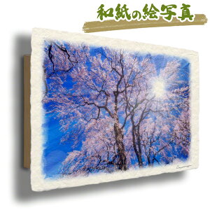  G   J^ ^ CeA ObY ^CオG     G  A[gpl J^G gC  i åGʐ^ 48x33cm A[gpl uzƌ