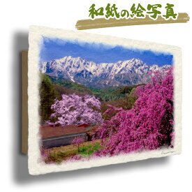 絵 風水 絵画 玄関 おすすめ 運気が上がる絵 インテリア アートパネル 風景画 おしゃれ 開運 金運 トイレ 玄関 に 飾る 絵 画 壁掛け 春 ピンク 木 森 花の絵 和紙の絵写真 「残雪の北アルプスと染井吉野と紅枝垂れ桜」