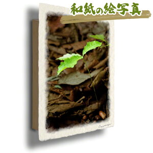  G   J^ ^ CeA ObY ^CオG     G  A[gpl J^G gC  i åGʐ^ 30x21cm    uhOo
