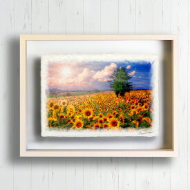 和紙の絵写真 「太陽とひまわり畑の丘とカラマツの木」 アートパネル