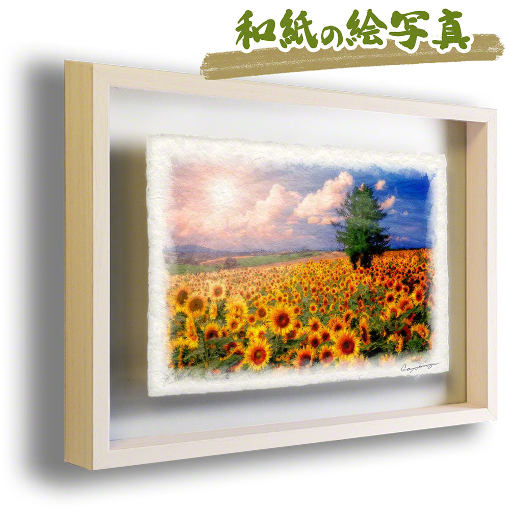 和紙の絵写真 額縁付き 44x31cm 花 黄色 夏 「太陽とひまわり畑の丘と 