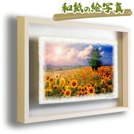 和紙の絵写真 額縁付き 38x27cm 花 黄色 夏 「太陽とひまわり畑の丘とカラマツの木」 絵画 額入り アートフレーム 壁掛け 絵 和風 玄関 インテリア 雑貨 飾り ポスター ウェルカム ボード アートパネル モダン