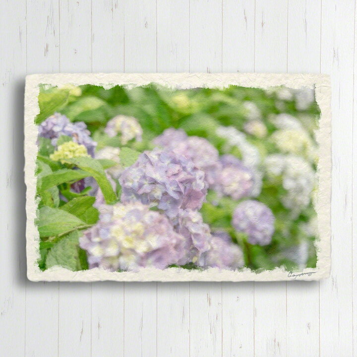 楽天市場 和紙 ポストカード 15x10cm 花 初夏 薄ピンク色のアジサイ 絵画 インテリア 風水 絵 アートパネル モダン 玄関 インテリア 雑貨 絵画 風景画 インテリアアート Naturalmemories