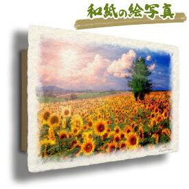 和紙の絵写真 「太陽とひまわり畑の丘とカラマツの木」 アートパネル