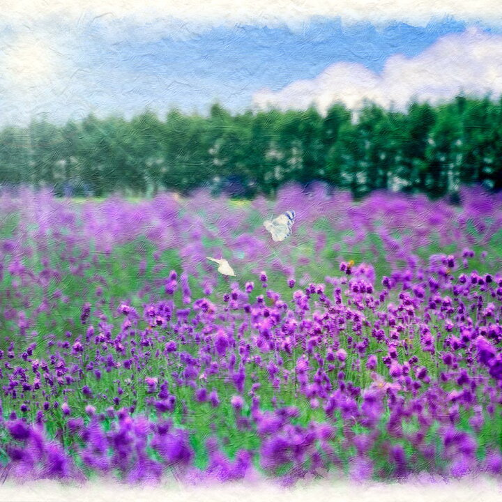 楽天市場】【500円クーポン】風水 絵画 玄関 おすすめ 開運 金運 