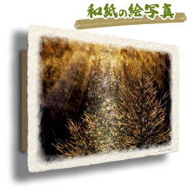 絵 風水 絵画 玄関 おすすめ 運気が上がる絵 インテリア アートパネル 風景画 おしゃれ 開運 金運 トイレ 玄関 に 飾る 絵 画 壁掛け 木 森 冬 黄金色 クリスマスプレゼント 和紙の絵写真 「ダイヤモンドダストと凍ったカラマツ」