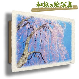 絵 風水 絵画 玄関 おすすめ 運気が上がる絵 インテリア アートパネル 風景画 おしゃれ 開運 金運 トイレ 玄関 に 飾る 絵 画 壁掛け 春 花の絵 木 森 ピンク 和紙の絵写真 「青空と風に揺れるしだれ桜」