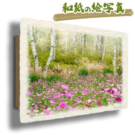 絵 風水 絵画 玄関 おすすめ 運気が上がる絵 インテリア アートパネル 風景画 おしゃれ 開運 金運 トイレ 玄関 に 飾る 絵 画 壁掛け 木 森 秋 花の絵 ピンク 和紙の絵写真 「霧の白樺林とコスモス畑」