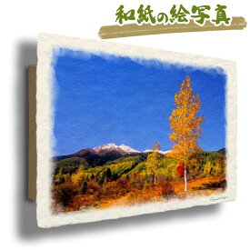 絵 風水 絵画 玄関 おすすめ 運気が上がる絵 インテリア アートパネル 風景画 おしゃれ 開運 金運 トイレ 玄関 に 飾る 絵 画 壁掛け 山の絵 木 森 秋 黄色 和紙の絵写真 「初冠雪の乗鞍岳と黄葉の白樺」
