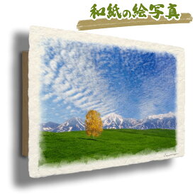 絵 風水 絵画 玄関 おすすめ 運気が上がる絵 インテリア アートパネル 風景画 おしゃれ 開運 金運 トイレ 玄関 に 飾る 絵 画 壁掛け 山 秋 黄色 山の絵 丘 木 森 出産祝い 和紙の絵写真 「秋の雲と初冠雪の山並と黄葉の白樺の丘」