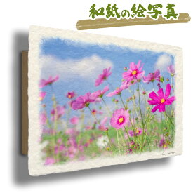 絵 風水 絵画 玄関 おすすめ 運気が上がる絵 インテリア アートパネル 風景画 おしゃれ 開運 金運 トイレ 玄関 に 飾る 絵 画 壁掛け 花 秋 ピンク 花の絵 和紙の絵写真 「青空と緑の土手のピンクのコスモス」